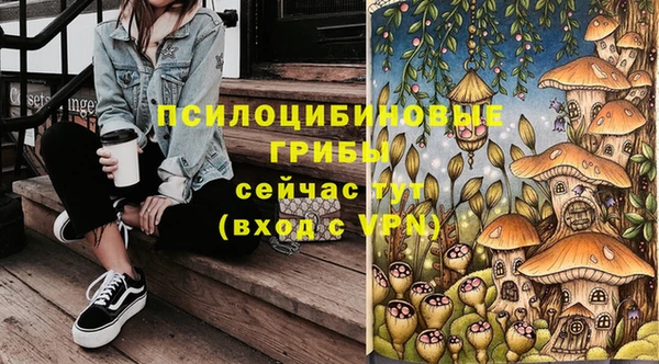шишки Армянск