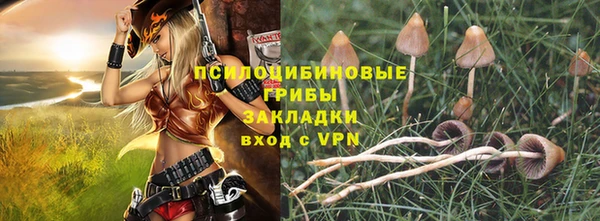 шишки Армянск