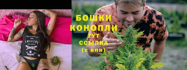 spice Арсеньев
