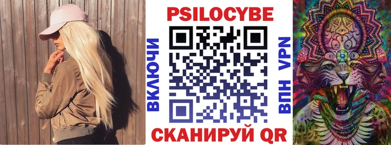 Купить  Суоярви  Галлюциногенные грибы Cubensis 